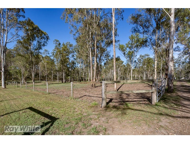 504 Waterford Tamborine Road, Buccan QLD 4207
