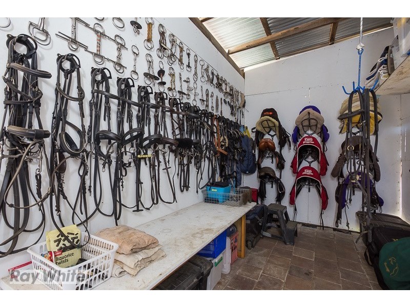 504 Waterford Tamborine Road, Buccan QLD 4207