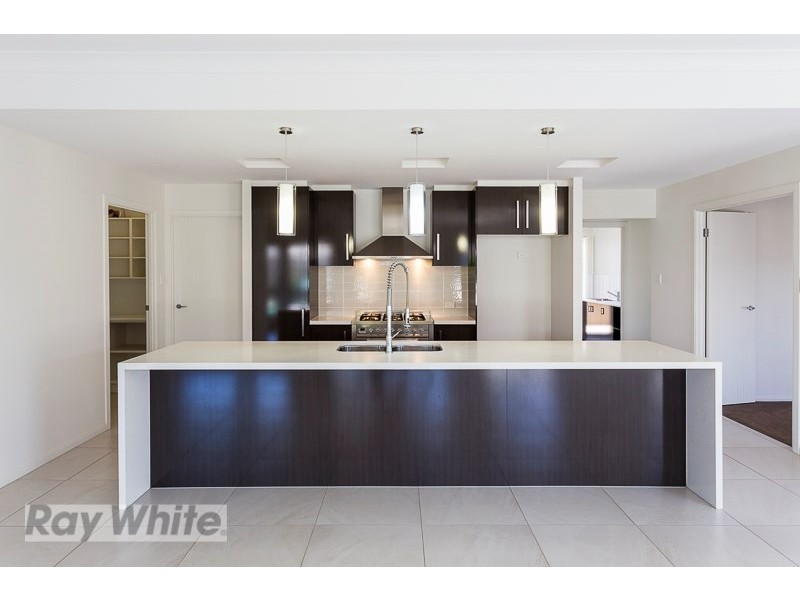 20 Marjoram Street, Thornlands QLD 4164