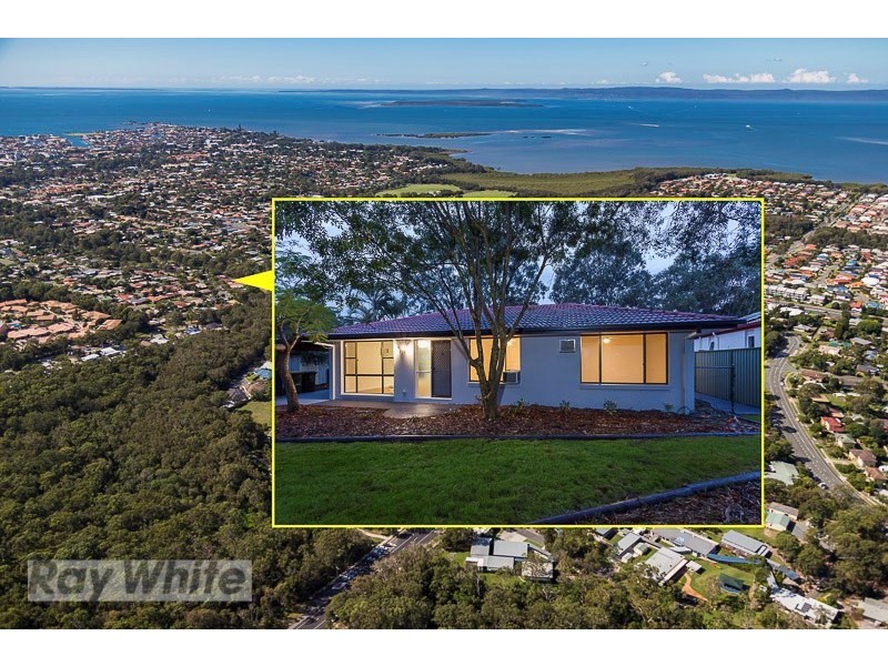 14 Capricorn Drive, Cleveland QLD 4163