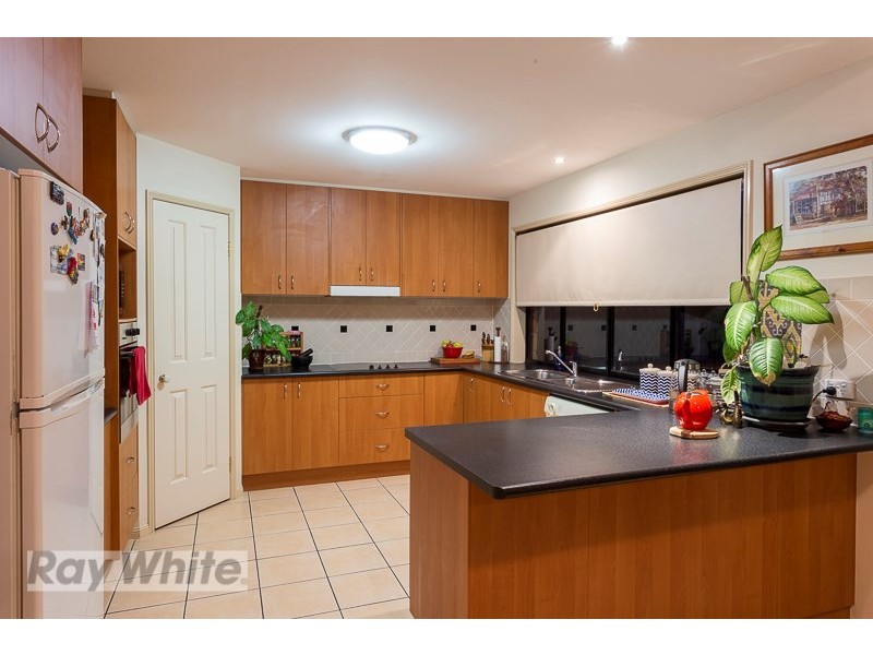 31 Attenborough Circuit, Redland Bay QLD 4165