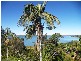 24 Wilson Esplanade, Redland Bay QLD 4165
