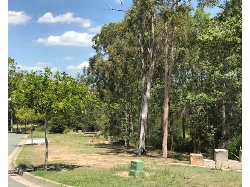 37 Waterside Drive, Springfield Lakes QLD 4300