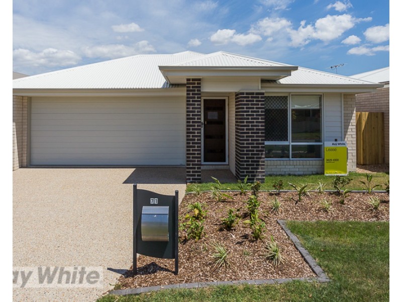 71 Bremen Street, Hemmant QLD 4174