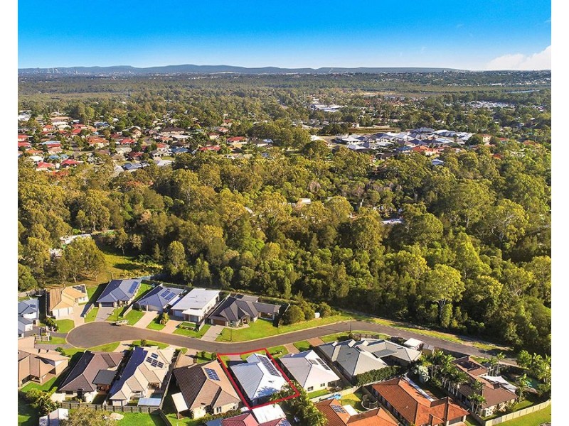 10 Nutmeg Court, Birkdale QLD 4159