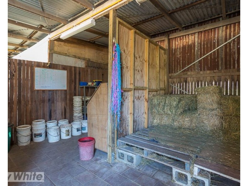 504-510 Waterford Tamborine Road, Buccan QLD 4207