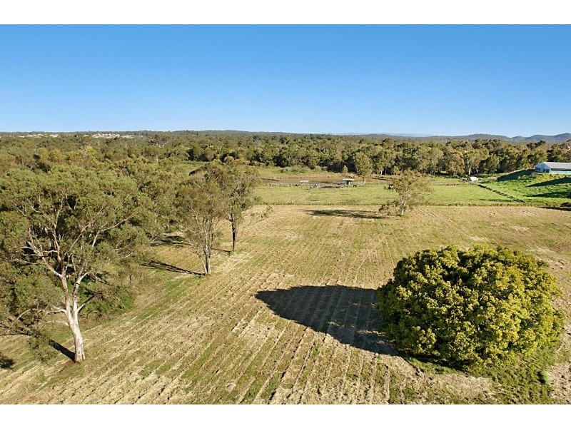 40 Springacre Road, Thornlands QLD 4164