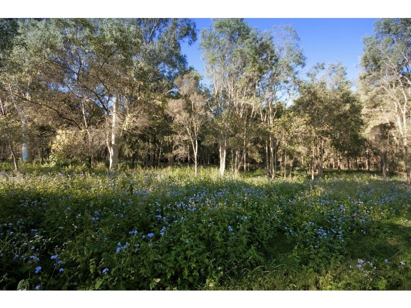 40 Springacre Road, Thornlands QLD 4164