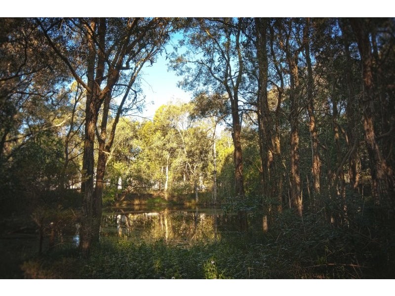 40 Springacre Road, Thornlands QLD 4164