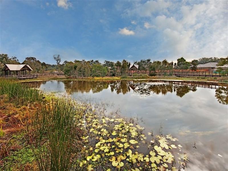 19 Bankswood Drive, Redland Bay QLD 4165