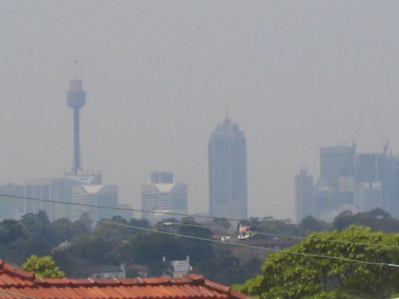 4/20 Dalhousie Street, Haberfield NSW 2045