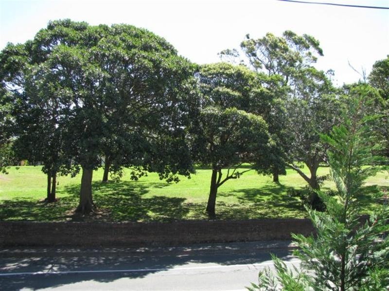 3/415 Balmain Road, Lilyfield NSW 2040