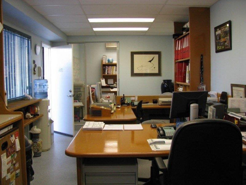 Rear/42 Bertram Street, Mortlake NSW 2137