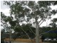 29/506-512 Pacific Highway, Artarmon NSW 2064