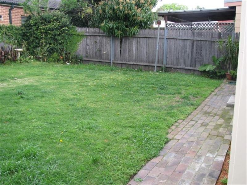 17 Knocklayde Street, Ashfield NSW 2131