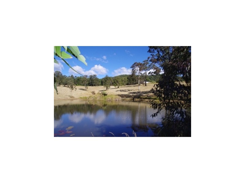 399 Possum Brush Road, Possum Brush NSW 2430