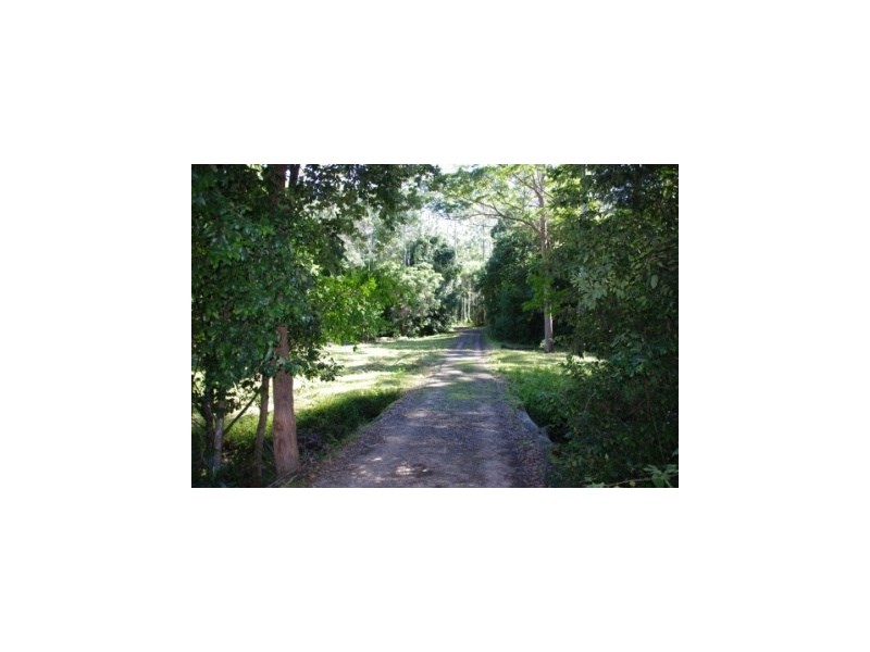 399 Possum Brush Road, Possum Brush NSW 2430