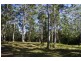 399 Possum Brush Road, Possum Brush NSW 2430