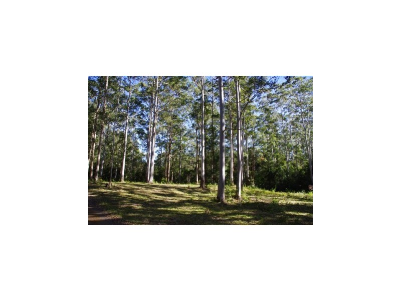399 Possum Brush Road, Possum Brush NSW 2430