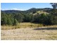 399 Possum Brush Road, Possum Brush NSW 2430
