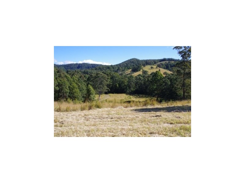 399 Possum Brush Road, Possum Brush NSW 2430