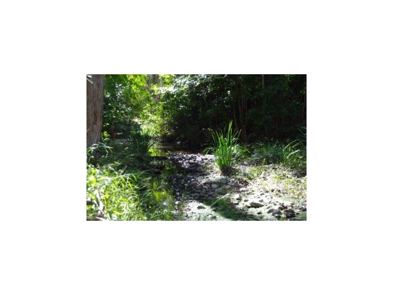 399 Possum Brush Road, Possum Brush NSW 2430