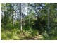 399 Possum Brush Road, Possum Brush NSW 2430