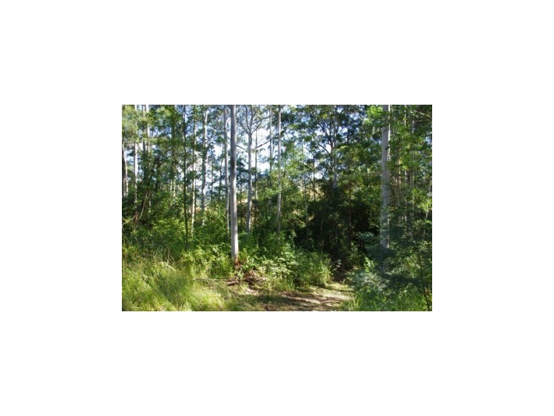 399 Possum Brush Road, Possum Brush NSW 2430