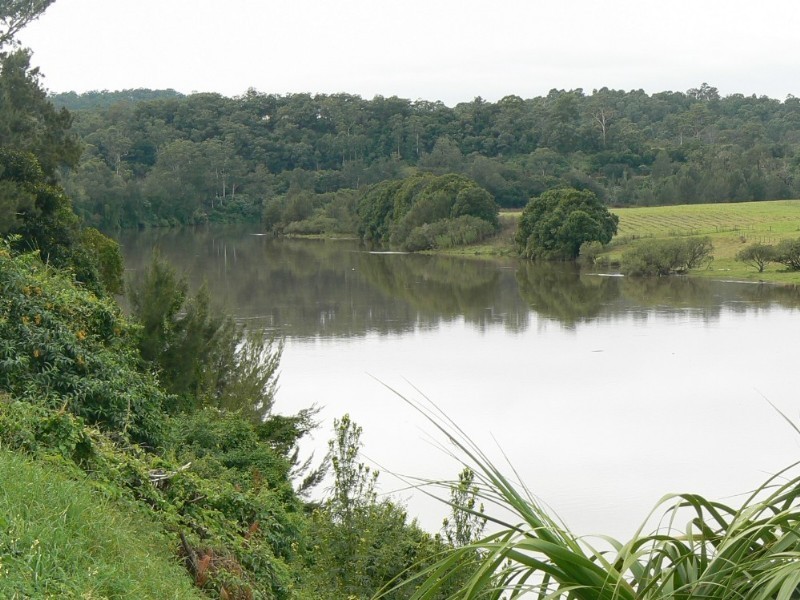 Wingham NSW 2429