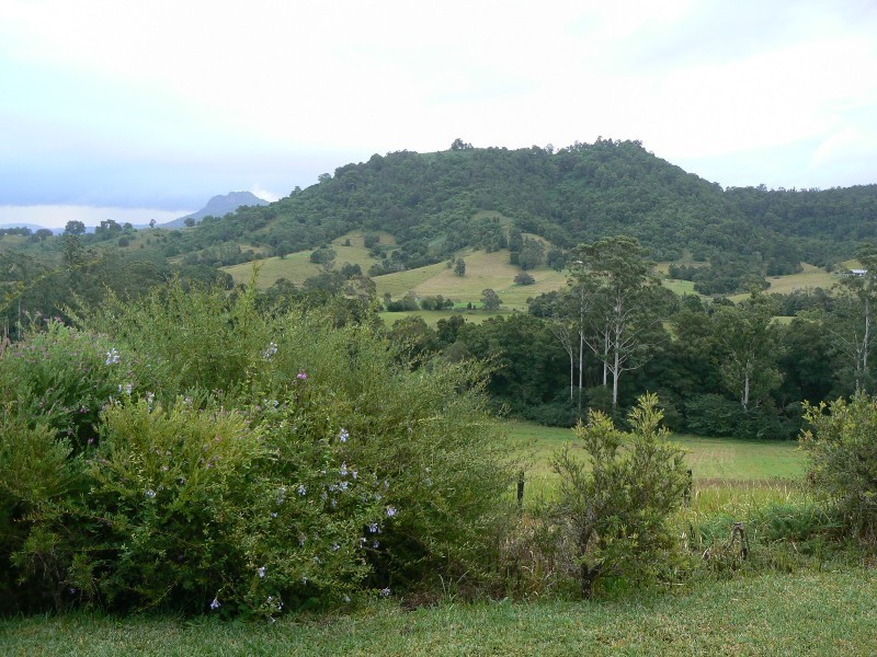 Upper Lansdowne NSW 2430