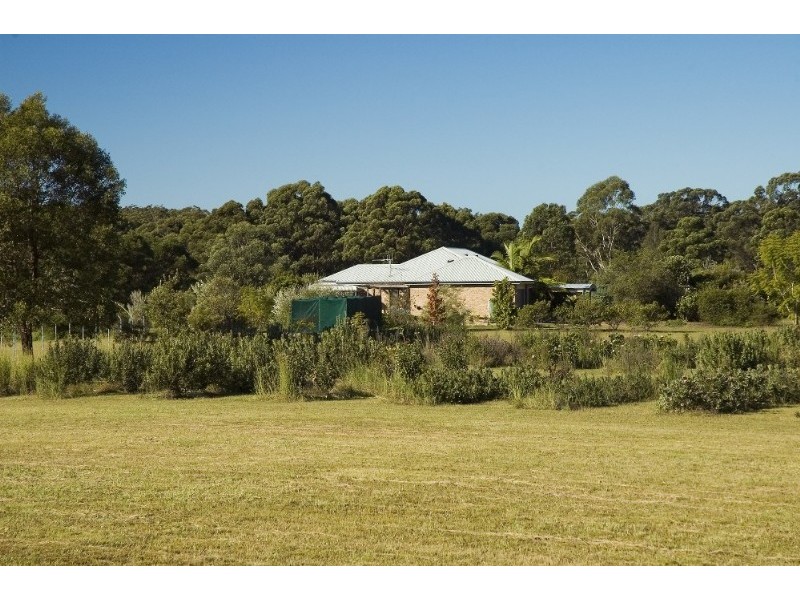 Mitchells Island NSW 2430