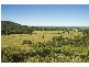 Langley Vale NSW 2426