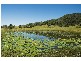 Langley Vale NSW 2426