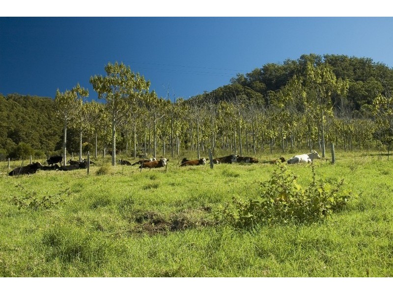 Langley Vale NSW 2426