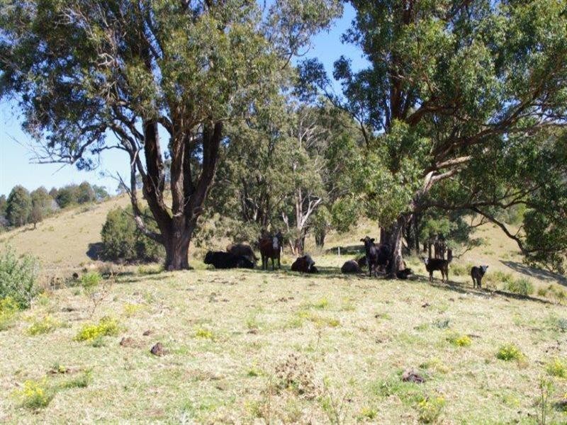 Lot 201 ”Longrange” The Bucketts Way, Belbora NSW 2422