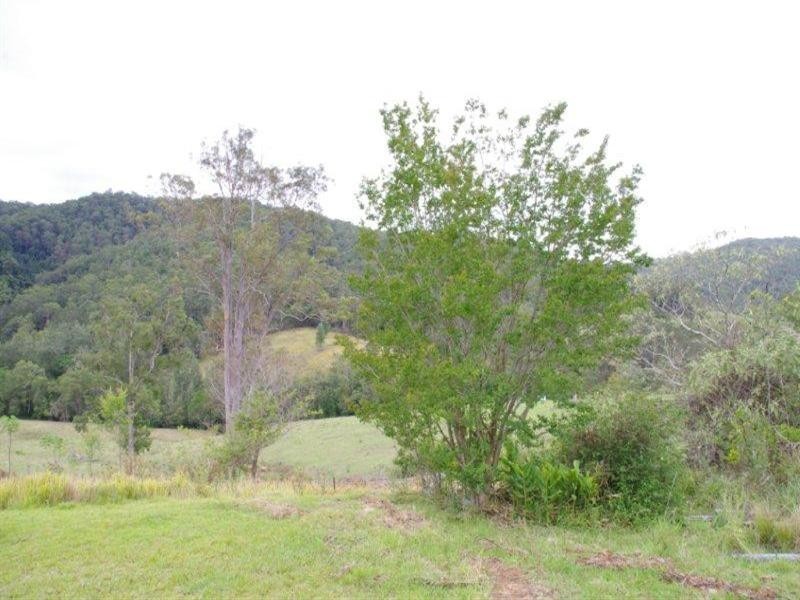627 Caparra Road, Wingham NSW 2429