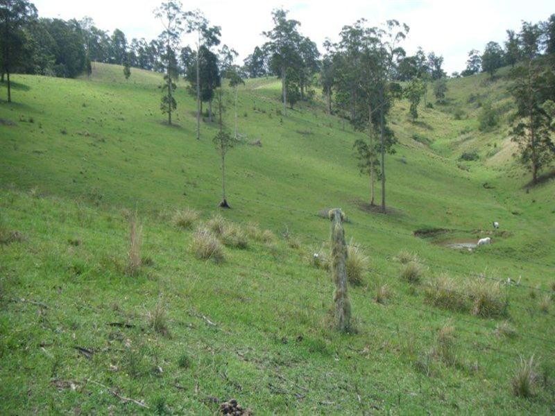 700 Curreeki Creek Road, Coolongolook NSW 2423