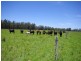 Lot 1 452 North Moto Road, Taree NSW 2430