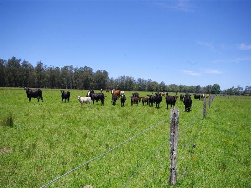 Lot 1 452 North Moto Road, Taree NSW 2430
