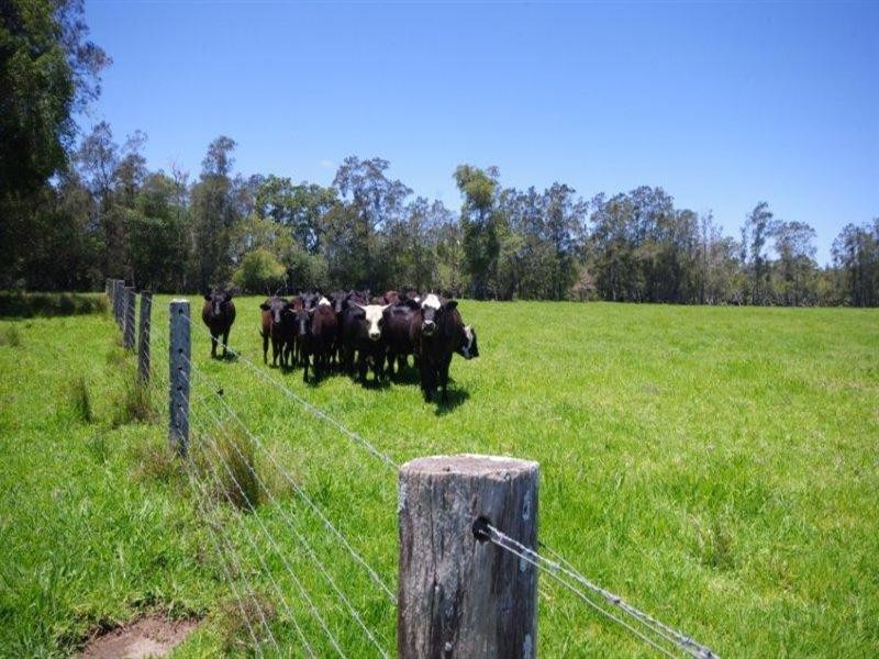 Lot 1 452 North Moto Road, Taree NSW 2430