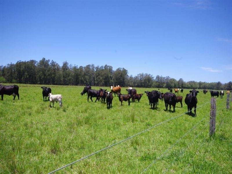 Lot 1 452 North Moto Road, Taree NSW 2430