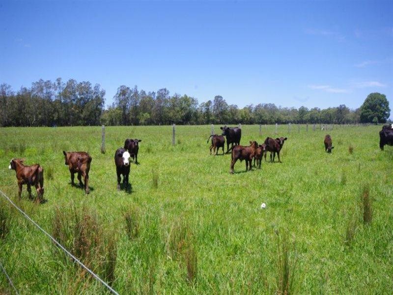 Lot 1 452 North Moto Road, Taree NSW 2430