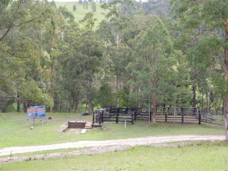 998 Nowendoc Road, Wingham NSW 2429