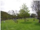 998 Nowendoc Road, Wingham NSW 2429