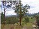 998 Nowendoc Road, Wingham NSW 2429