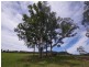 998 Nowendoc Road, Wingham NSW 2429