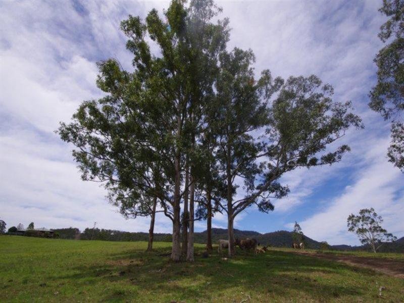 998 Nowendoc Road, Wingham NSW 2429