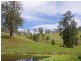 998 Nowendoc Road, Wingham NSW 2429