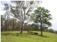 998 Nowendoc Road, Wingham NSW 2429