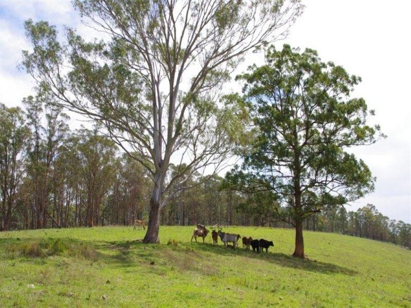 998 Nowendoc Road, Wingham NSW 2429